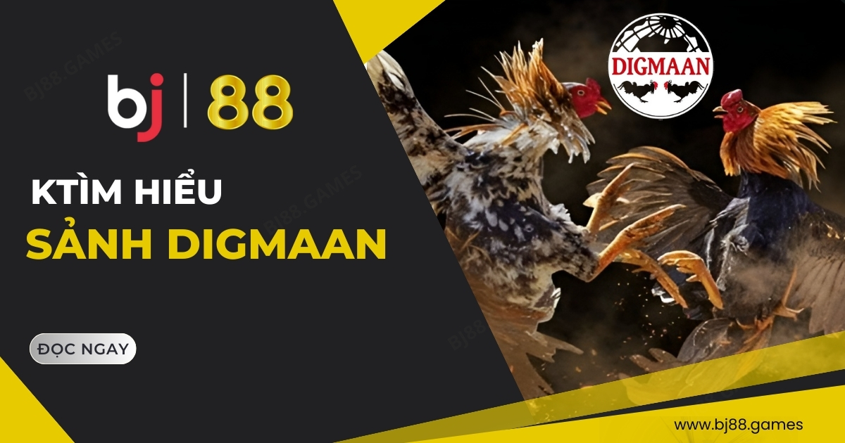 Đá gà BJ88
